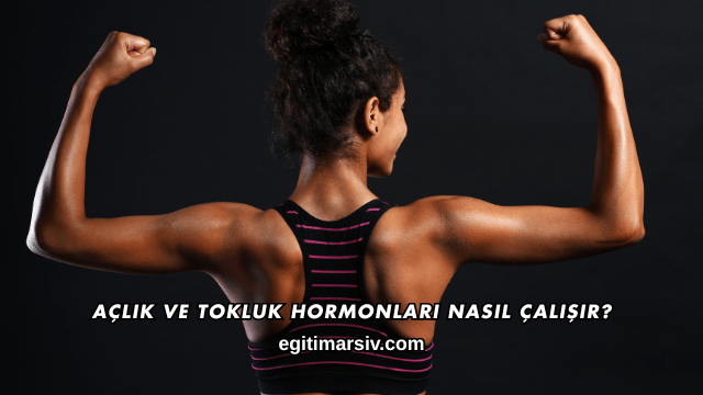 Açlık ve Tokluk Hormonları Nasıl Çalışır?