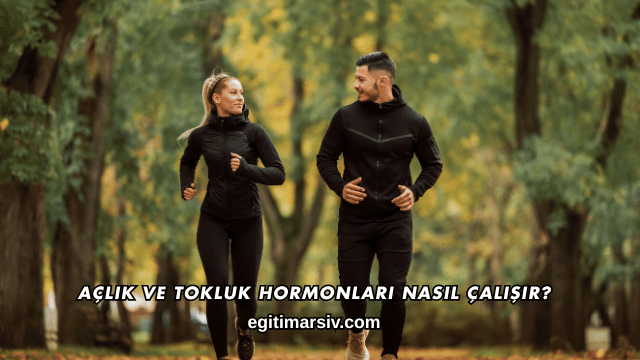 Açlık ve Tokluk Hormonları Nasıl Çalışır?