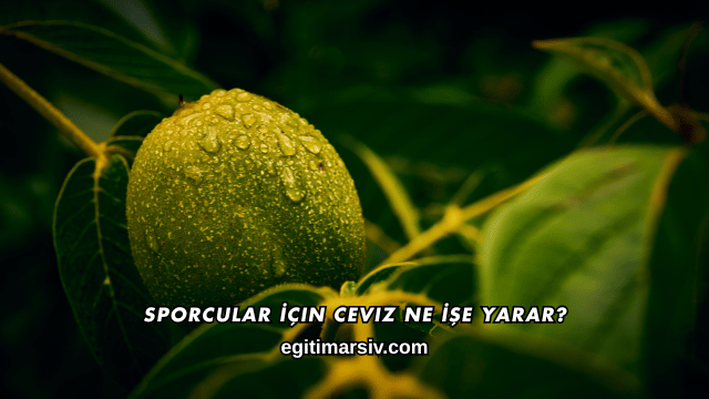 Sporcular İçin Ceviz Ne İşe Yarar?