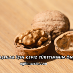Yaşlılar İçin Ceviz Tüketiminin Önemi